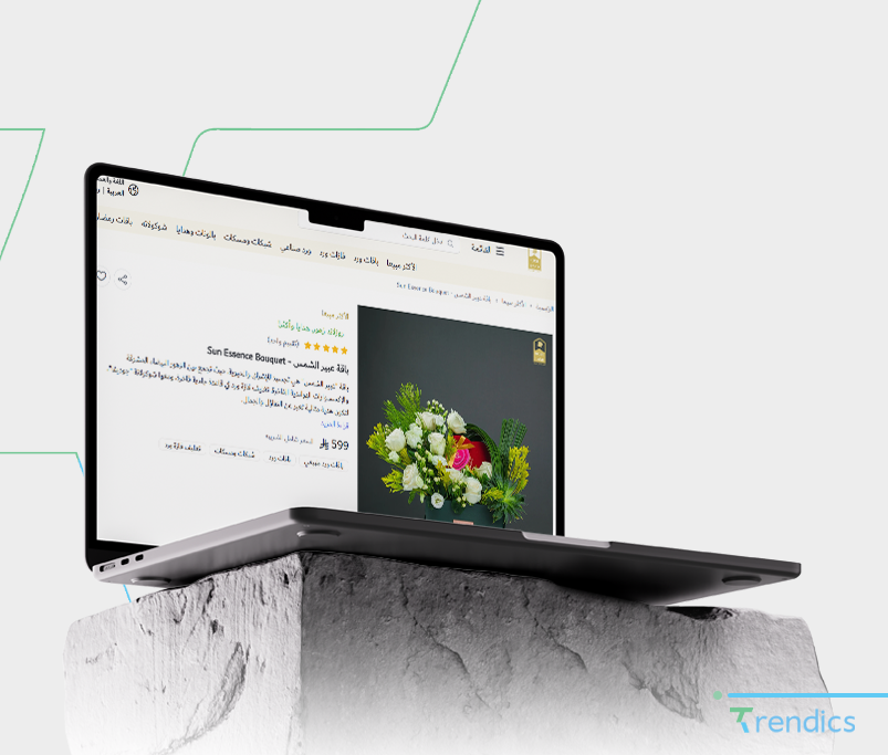 إدارة الحملات الإعلانية