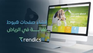 إنشاء صفحات هبوط فعالة في الرياض – احصل على نتائج فورية!