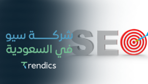 شركة سيو في السعودية لزيادة ظهورك في محركات البحث