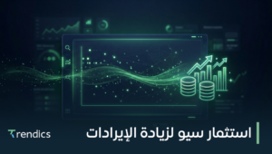 استثمار سيو لزيادة الإيرادات والنمو السريع لموقعك