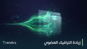 زيادة الترافيك العضوي لموقعك وجذب عملاء محتملين بجودة أعلى